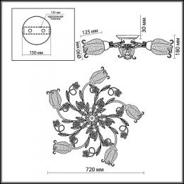 Потолочная люстра Odeon Light Ameli  - 2